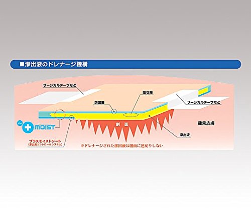 Amazon.co.jp: 瑞光メディカル プラスモイストV（未滅菌タイプ） VA1A